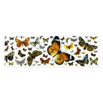 Colourful Butterflies Antiquarian Image Bookmark