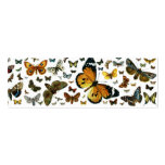 Colourful Butterflies Antiquarian Image Bookmark business cards