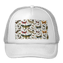 Colourful Butterflies Antiquarian Image Bookmark Mesh Hats