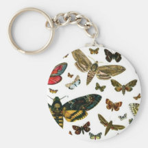 Colourful Butterflies Antiquarian Image Bookmark Key Chains