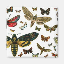 Colourful Butterflies Antiquarian Image Bookmark Fridge Magnet