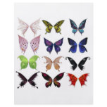 Colourful butterflies flyers