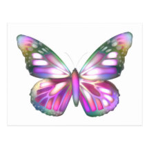 Colourful Butterflies Postcards