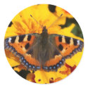 Colourful Butterfly Sticker