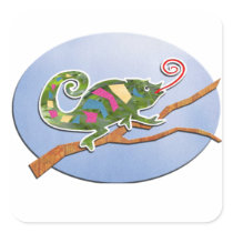 Colourful Chameleon