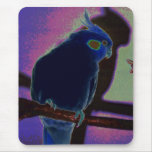 Colourful Cockatiel mousepads