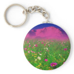 Colourful Colorado, Pikes Peak Mountain keychains