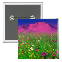 Colourful Colorado, Pikes Peak Mountain Pin