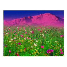 Colourful Colorado, Pikes Peak Mountain Post Card