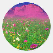 Colourful Colorado, Pikes Peak Mountain Round Stickers