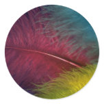 Colourful Coloured feathers stickers
