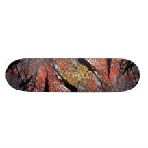Colourful Colours of the fall season, Upstate New  Skate Decks