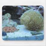 Colourful Coral in saltwater aquarium mousepad