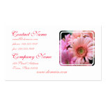 Colourful Daisies Business Cards