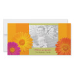 Colourful Daisy Flowers personalised photo card photo cards