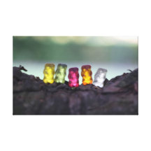 Colourful Diversity Gummy Bears Photography Canvas Print
