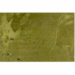 Colourful Dutch Leaf: IV Cut Outs