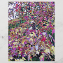 Colourful fall leaves flyer