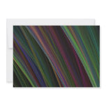 "Colourful Feathers" Artwork
