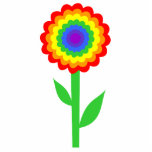 Colourful flower in rainbow colours. photo cut outs
