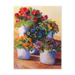 Colourful Flower Pots Postcard