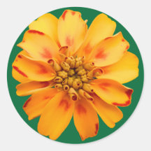Colourful Flower Sticker