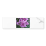 Colourful flowers bumper stickers
