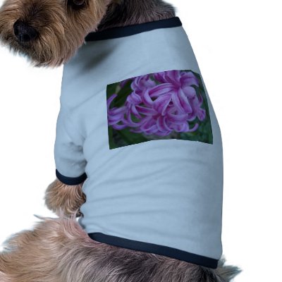 Colourful flowers dog shirt by pollop