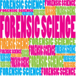 Colourful Forensic Science photo sculptures