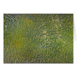 Colourful Fungus Card