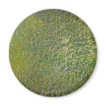Colourful Fungus Magnet