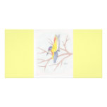 Colourful Humming Bird Photo Card photo cards