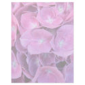Colourful Hydrangea Flowers flyers