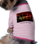 colourful, I dream in colour. pet clothing
