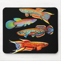 Colourful Killifish Mousepad