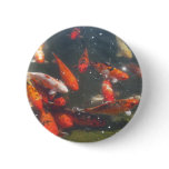 Colourful Koi Fish In a Pond buttons