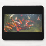 Colourful Koi Fish In a Pond mousepads