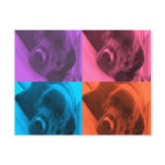 Colourful Labrador postcard