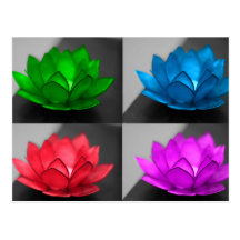 Colourful Lotus Postcards