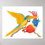 Colourful Macaws posters