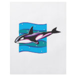 colourful orca design flyers