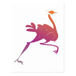 Colourful Ostrich Silhouette Postcards
