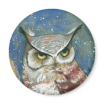 colourful owl