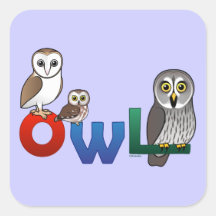Colourful Owl Square Stickers