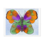 Colourful Painted Butterfly postcards
