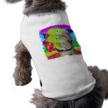 Colourful Parrots pet clothing