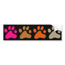Colourful Paws