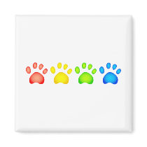 Colourful Paws