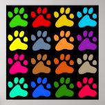 Colourful Paws