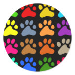 Colourful Paws